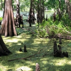 Hontoon Island State Park