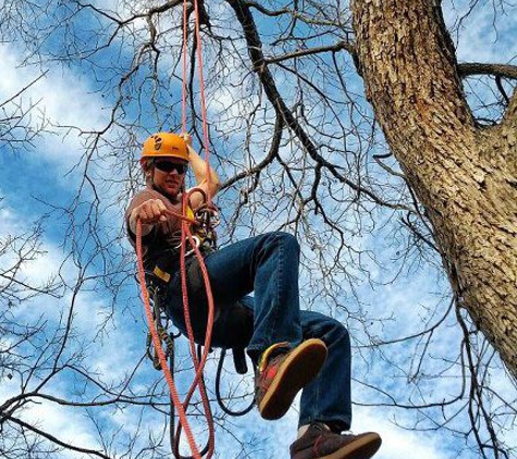 Arborlogical Trees & Turf - Lubbock, TX