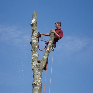 Almighty Tree Service