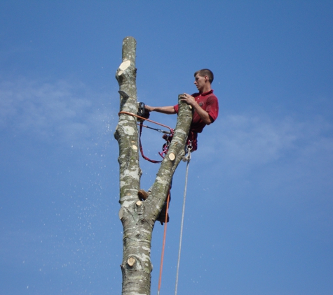 Almighty Tree Service