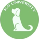 K-9 University