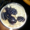 YogurtLand gallery