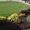 Marcelo's Landscaping gallery