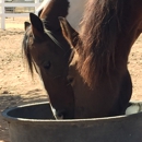 Henderson Ranch and Boarding Stables - Horse Boarding