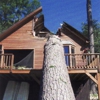 Adirondack Tree Surgeons Inc gallery