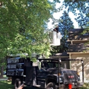 Down To Earth Tree Service - Tree Service