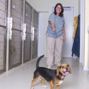 Abbott Animal Hospital - Kennels