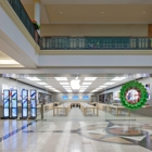 Apple King of Prussia