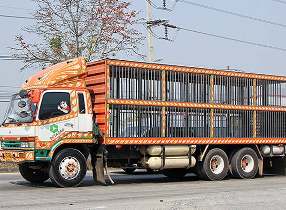 Truck Art Trailers Pty Ltd - Bomen, NSW