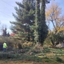 Match Grounds and Tree Service LLC - Catonsville, MD
