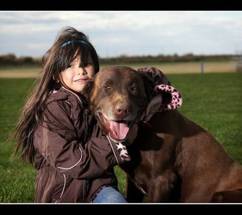 Sagebrush Labradors - Corpus Christi, TX