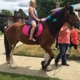 Chamberlin Pony Rides