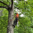 Arborall Tree Service