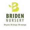 Briden Nursey gallery