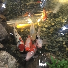 Garden State Koi Pond & Waterfall Design Center