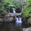 Pocono Environmental Education Center gallery