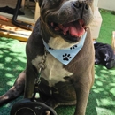 Baxter's Barks & Bubbles - Pet Grooming