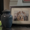 Pet Angel Memorial Center-Broward Pet Cemetery gallery