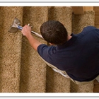 Carpet Cleaning The Woodlands TX