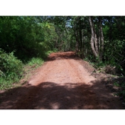 Gallery Image Number 3