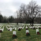 Zachary Taylor National Cemetery - U.S. Department of Veterans Affairs