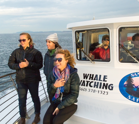 Seattle Orca Whale Watching - Seattle, WA