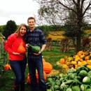 Weston Red Barn Farm - Farms