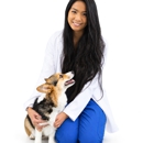 CityVet | Oak Lawn Veterinary Clinic & Urgent Care - Pet Stores