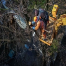Lumberjack Tree Service, LLC