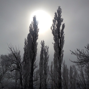 Mono Lake Cemetery - Lee Vining, CA