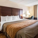 Comfort Inn & Suites at I-85 - Motels