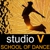 Studio V School Of Dance - Dance Tuition - Ballet &/or Theatrical