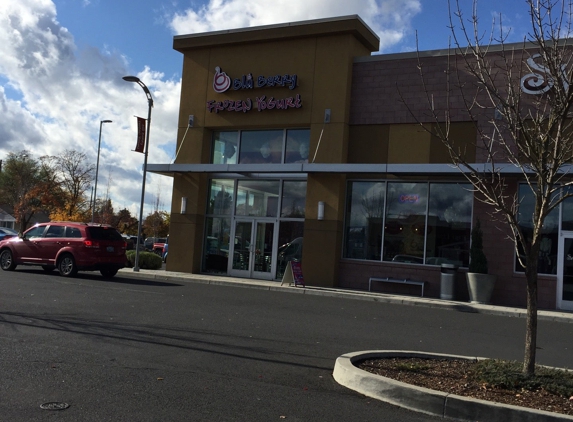 Bluberry Frozen Yogurt - Spokane, WA