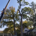 La's Quality Tree Service