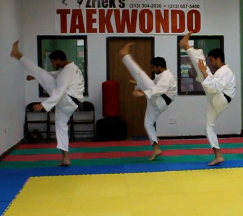 Zrieks Taekwondo School - Dearborn, MI