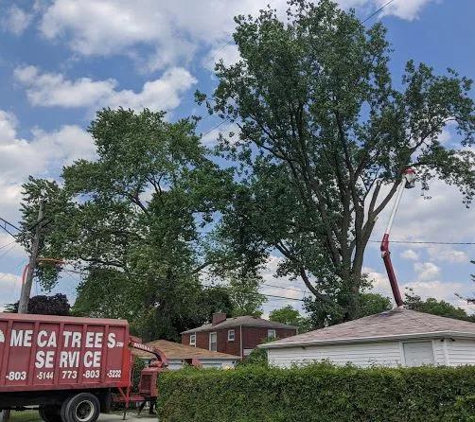 Meca Tree Service - Maywood, IL