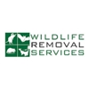 Wildlife Removal Services gallery