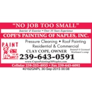 Cope's Painting Of Naples - Cleaning Contractors