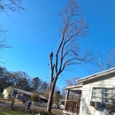 Robinsons Tree Service - Tree Service