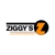 Ziggy's (CQ) Engineering