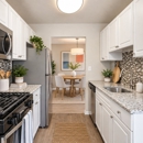 Avery Park Apartment Homes - Apartments
