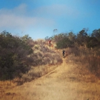 Topanga Creek Outpost