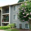 Tuckahoe Creek Apartments gallery