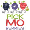 Missouri Berries gallery