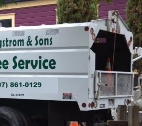 Hagstrom & Sons Tree Service - Santa Rosa, CA