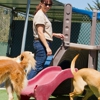 Acres Of Animals Boarding Kennel gallery