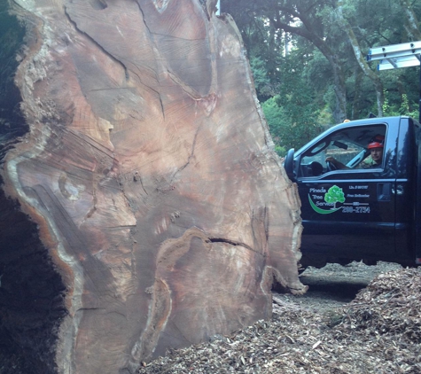 Pineda Tree Service - Woodside, CA