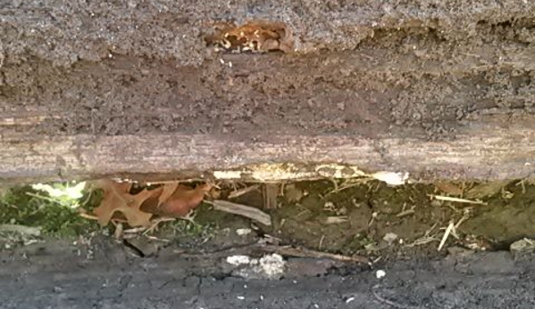 Davco Pest Control (Contact David Combridge) - Traralgon, VIC