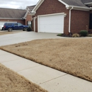 Radiant Exterior Cleaning Services - Building Cleaning-Exterior