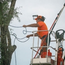 Nashville TreeWorks - Tree Service